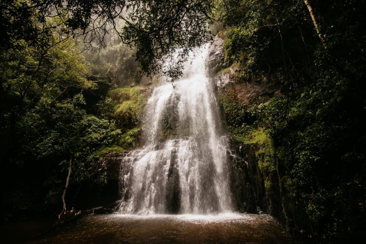 Mount Sheba Rainforest Hotel & Resort Pilgrim's Rest Luaran gambar